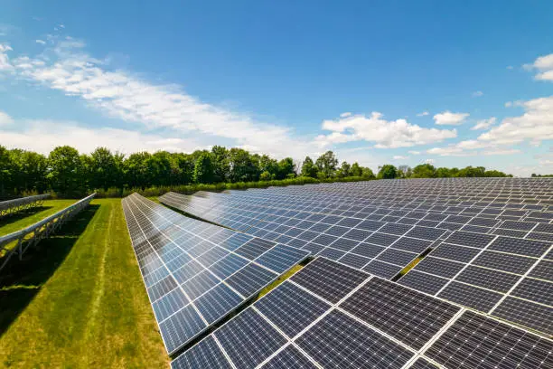Agrivoltaics: Harnessing Solar Power Without Compromising Agriculture